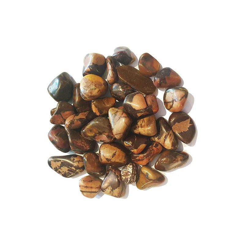 Cappuccino Jasper