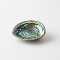 Abalone Small