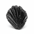 Black Kyanite Raw Large 