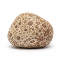 Leopard Jasper Large 