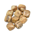 Picture Jasper Tumble